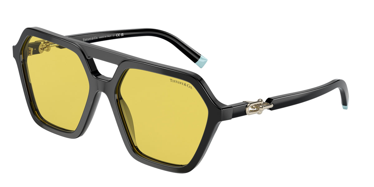 Tiffany & Co. TF4198 Black Sunglasses