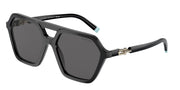Tiffany & Co. TF4198 Black Sunglasses