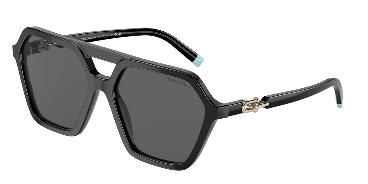 Tiffany & Co. TF4198 Black Sunglasses