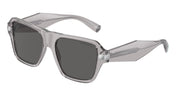 Tiffany & Co. TF4204 Crystal Grey Sunglasses