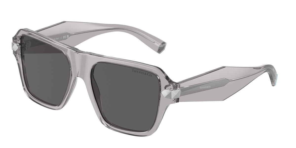 Tiffany & Co. TF4204 Crystal Grey Sunglasses