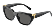 Tiffany & Co. TF4205U Black Sunglasses