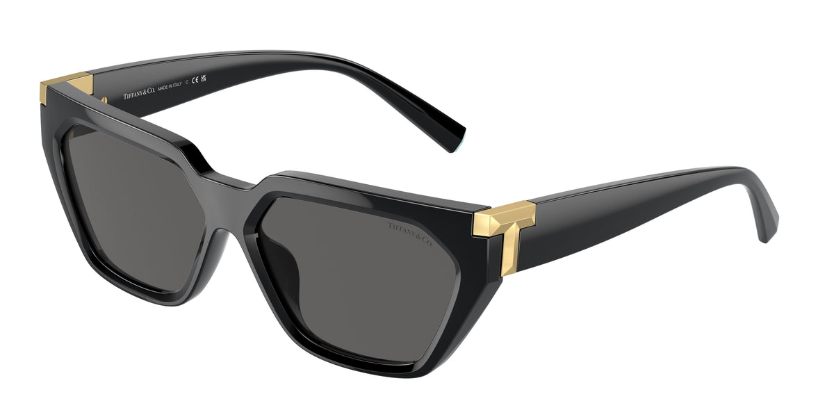 Tiffany & Co. TF4205U Black Sunglasses