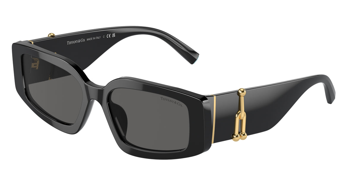 Tiffany & Co. TF4208U Black Sunglasses