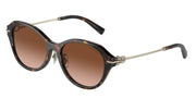 Tiffany & Co. TF4210D Havana Sunglasses