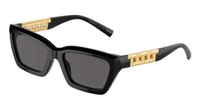Tiffany & Co. TF4213 Sunglasses