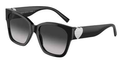 Tiffany & Co. TF4216F Sunglasses
