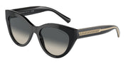 Tiffany & Co. TF4220F Black Sunglasses
