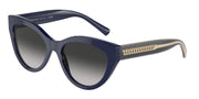 Tiffany & Co. TF4220F Solid Dark Blue Sunglasses