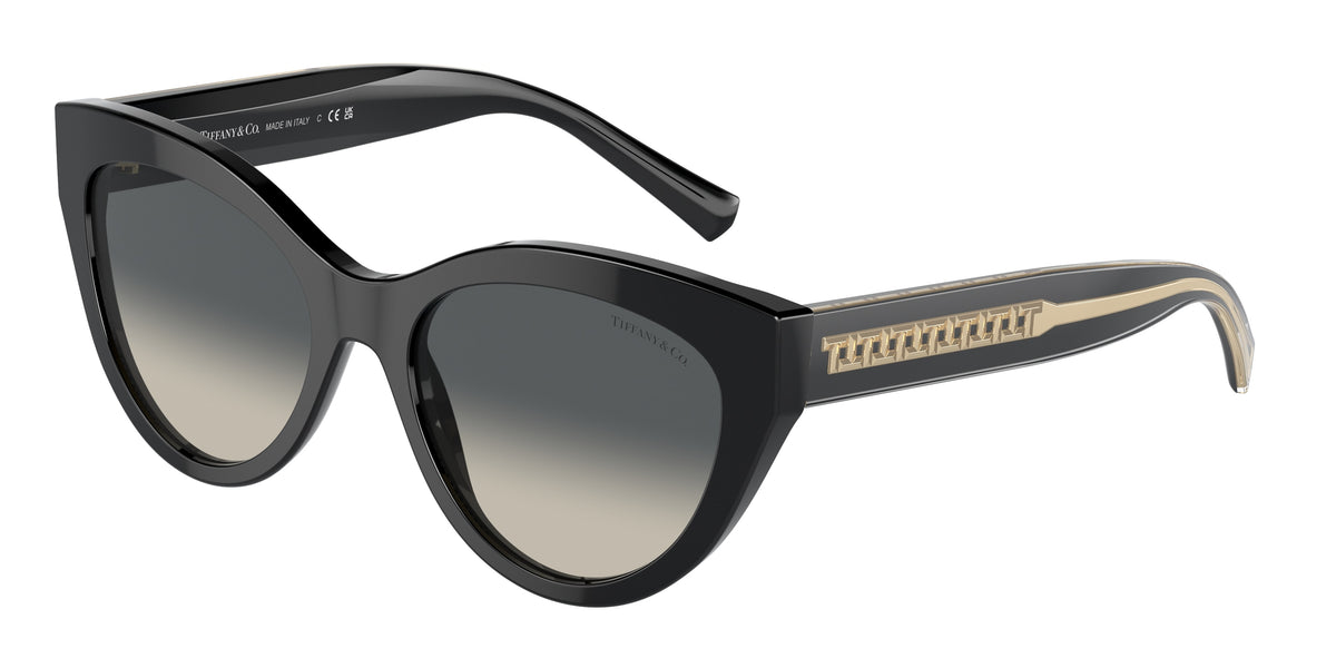 Tiffany & Co. TF4220 Black Sunglasses