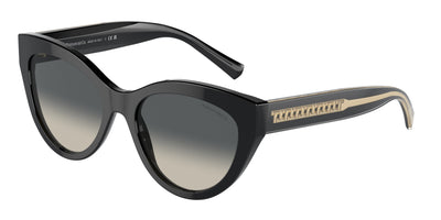 Tiffany & Co. TF4220 Sunglasses