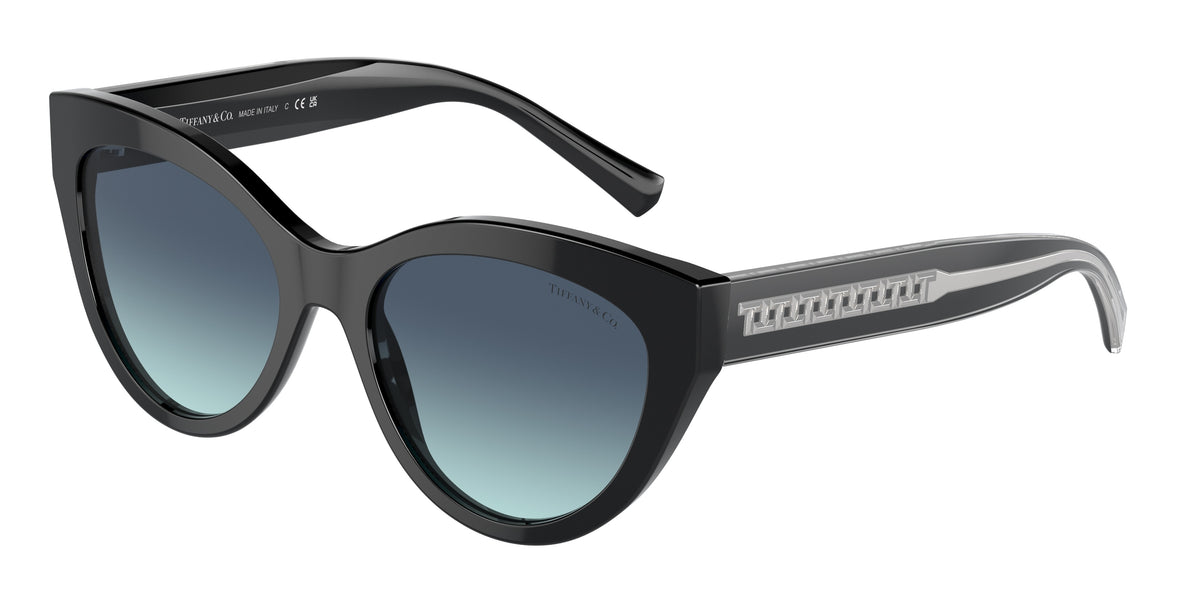 Tiffany & Co. TF4220 Black Sunglasses