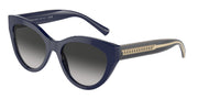 Tiffany & Co. TF4220 Solid Dark Blue Sunglasses