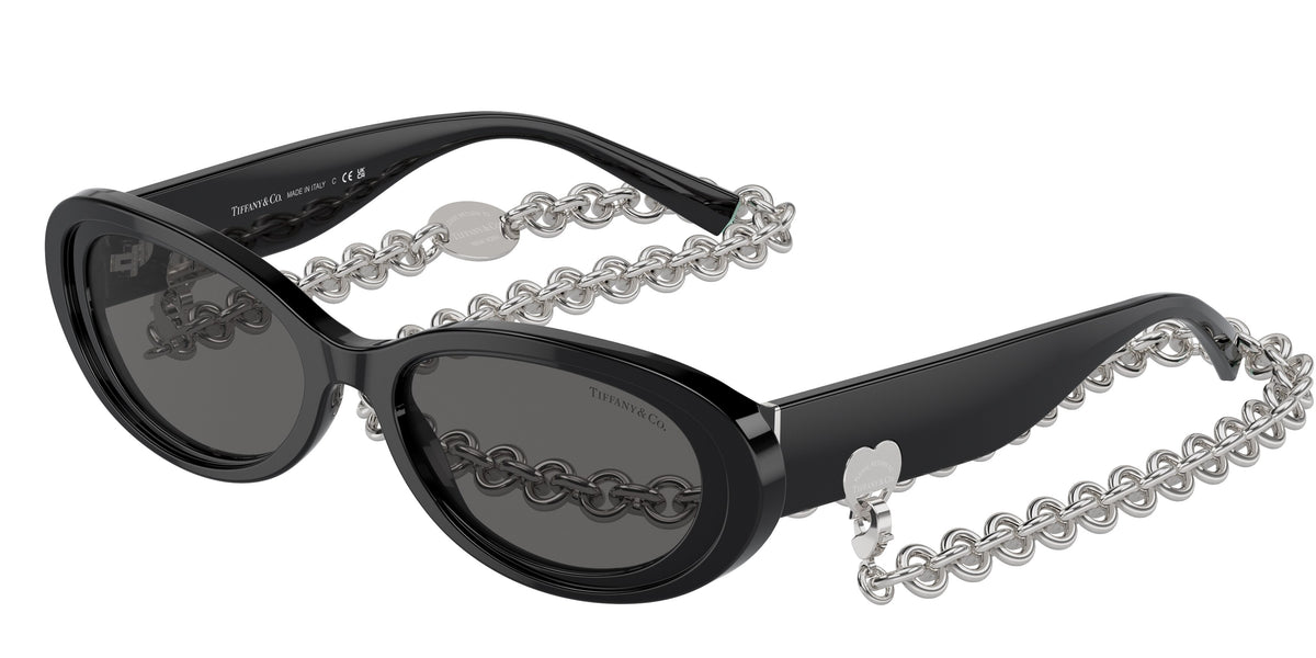 Tiffany & Co. TF4221F Black Sunglasses