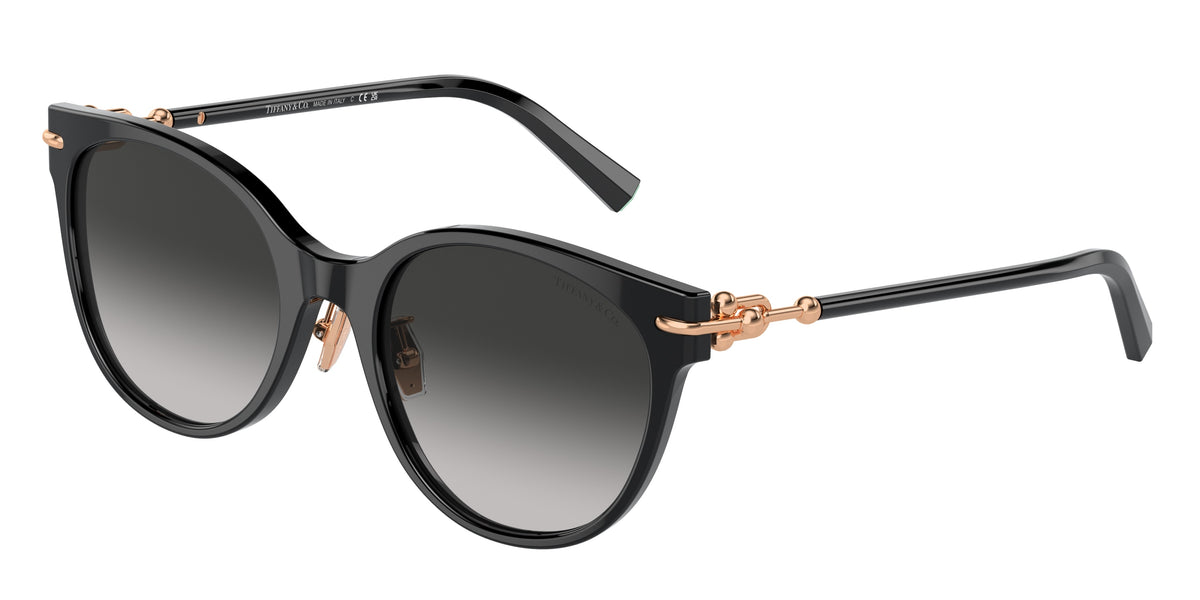 Tiffany & Co. TF4223D Black Sunglasses