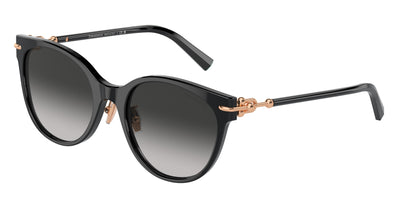 Tiffany & Co. TF4223D Sunglasses