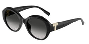 Tiffany & Co. TF4227BU Black Sunglasses
