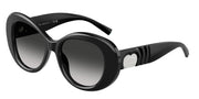 Tiffany & Co. TF4228F Black Sunglasses