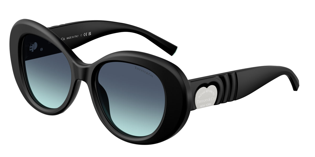 Tiffany & Co. TF4228F Matte Black Sunglasses