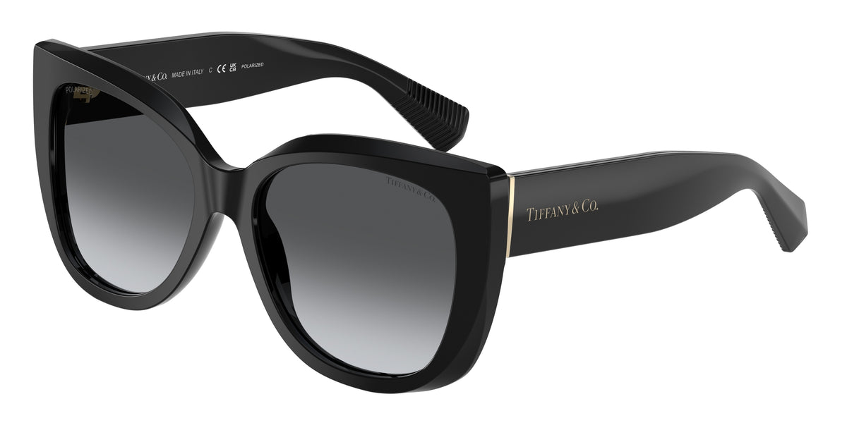 Tiffany & Co. TF4229F Black Sunglasses