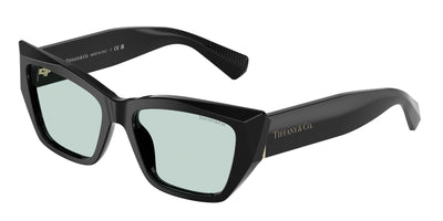 Tiffany & Co. TF4230F Sunglasses