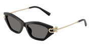 Tiffany & Co. TF4231U Black Sunglasses