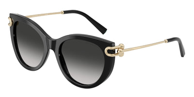 Tiffany & Co. TF4232F Sunglasses