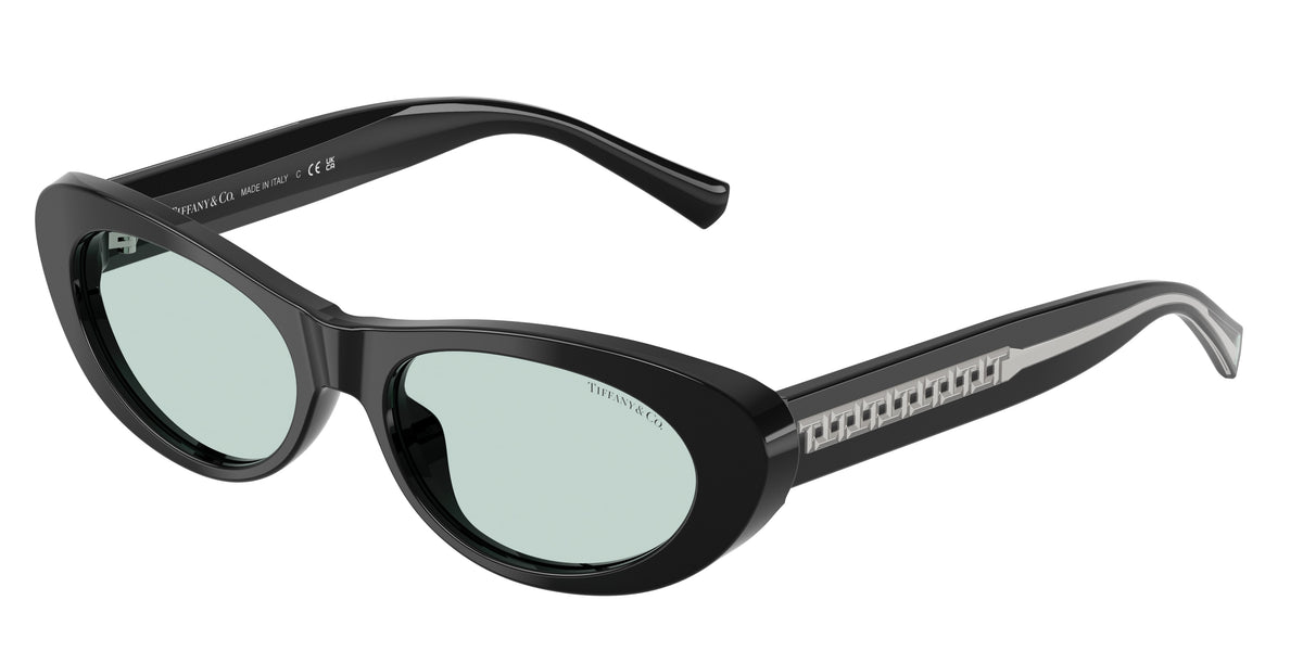 Tiffany & Co. TF4236U Black Sunglasses
