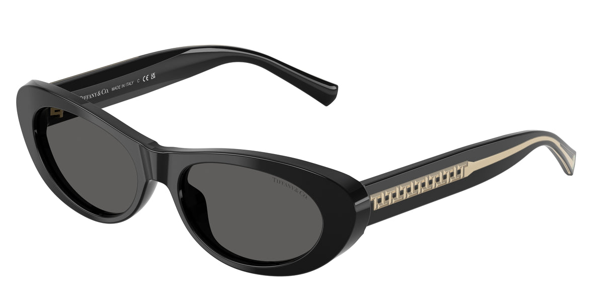 Tiffany & Co. TF4236U Black Sunglasses