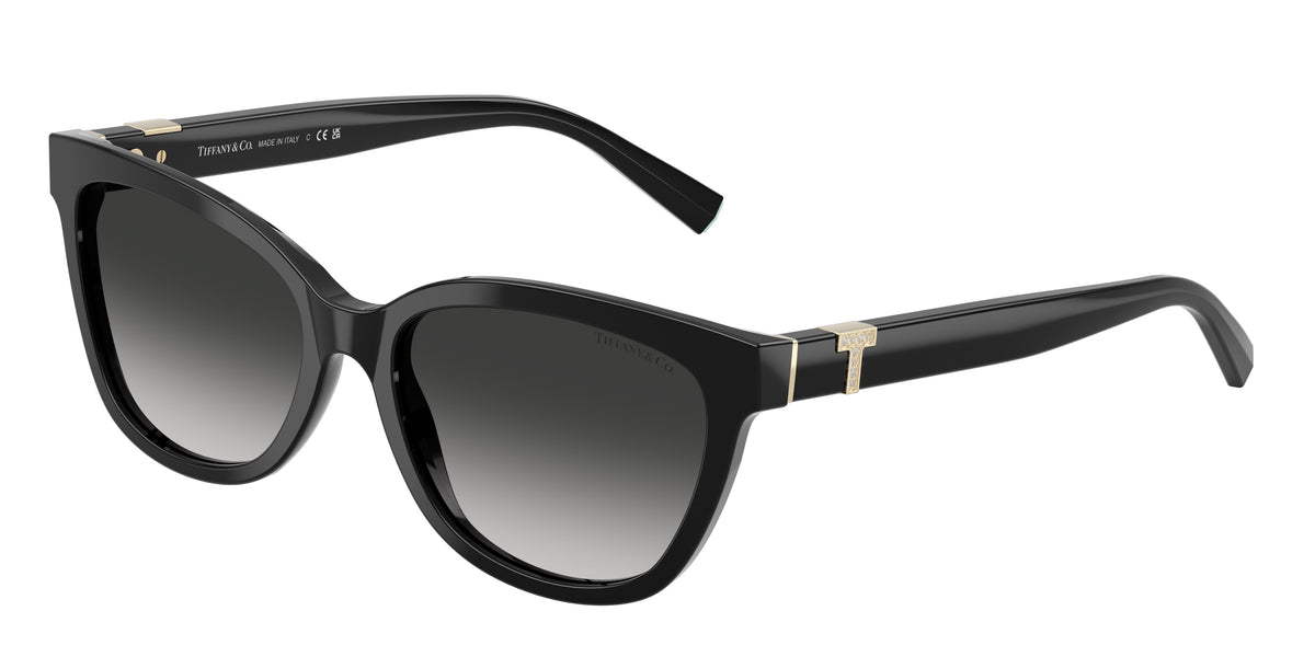 Tiffany & Co. TF4237BF Black Sunglasses