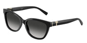 Tiffany & Co. TF4237B Black Sunglasses