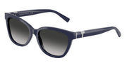 Tiffany & Co. TF4237B Solid Dark Blue Sunglasses