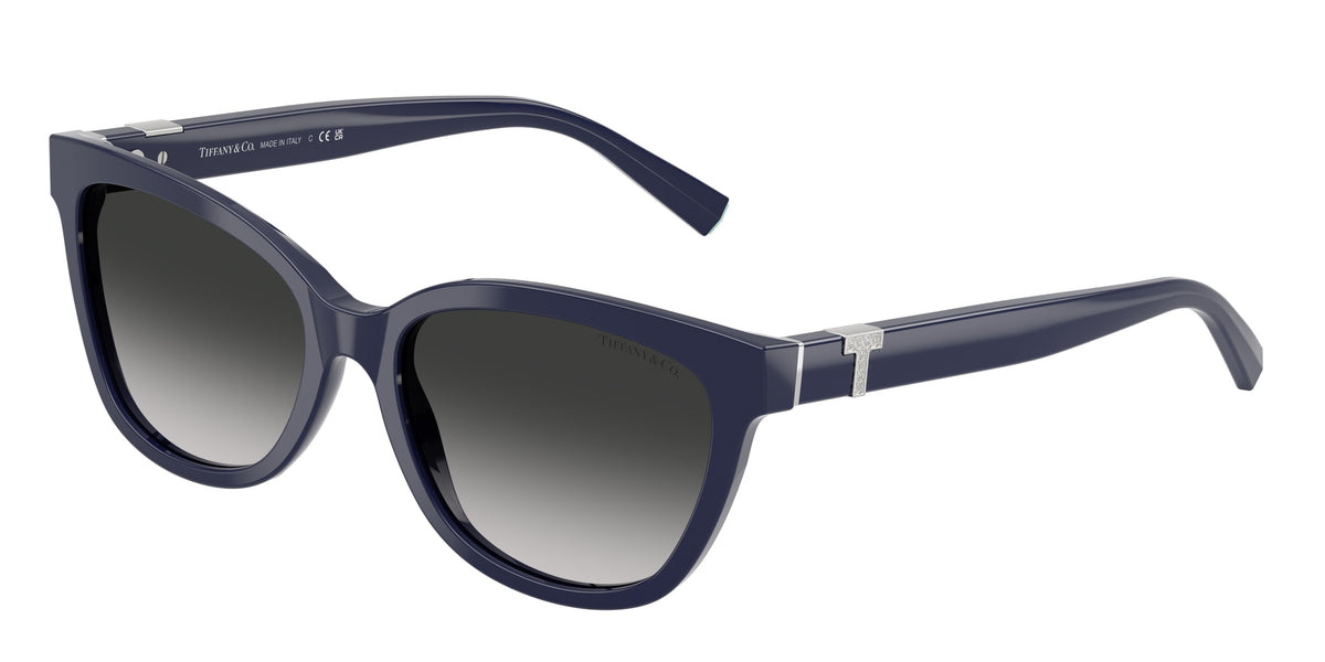Tiffany & Co. TF4237B Solid Dark Blue Sunglasses