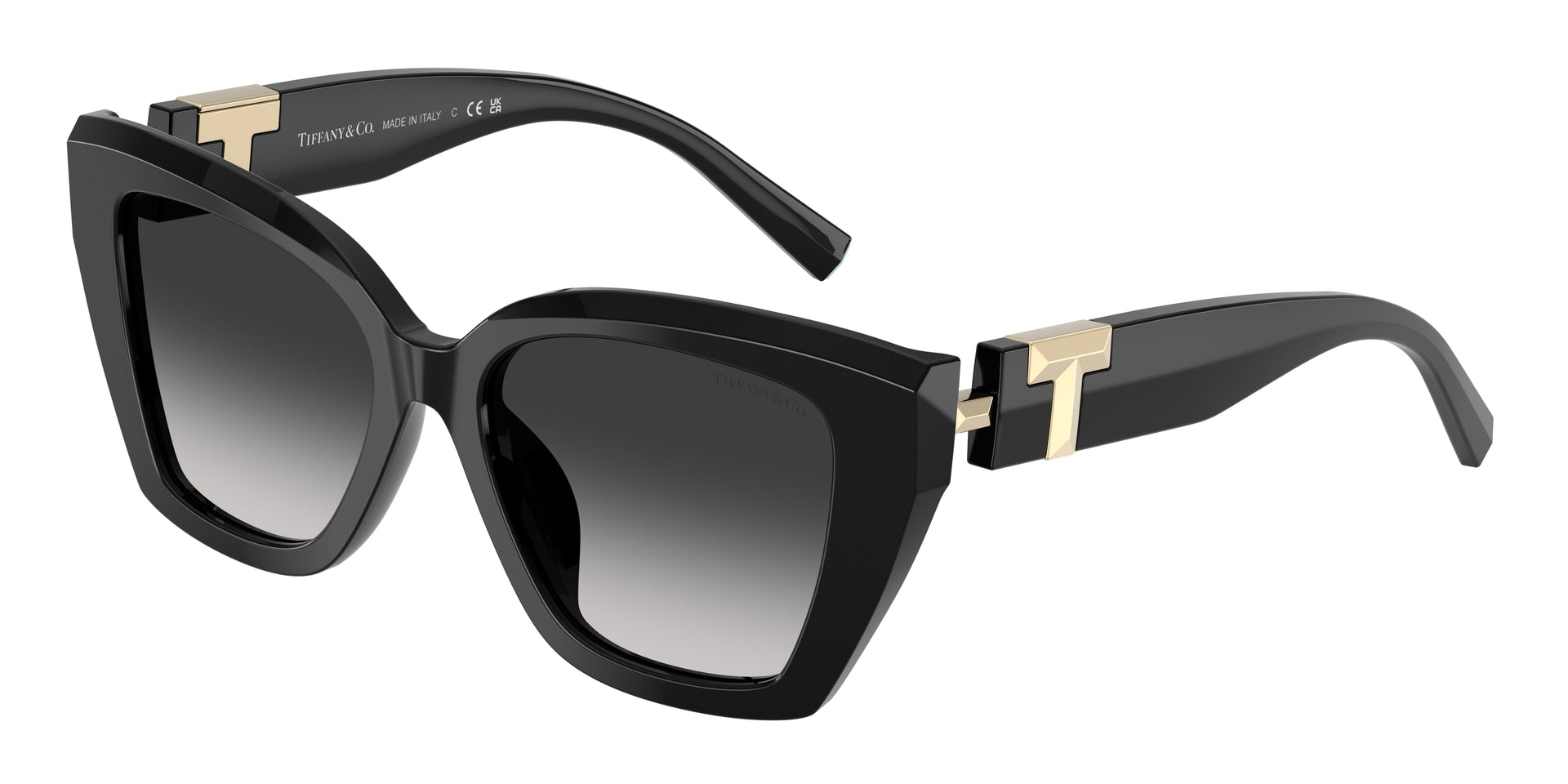 Tiffany & Co. TF4239U Black Sunglasses