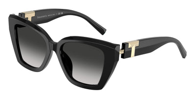 Tiffany & Co. TF4239U Sunglasses