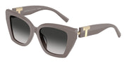 Tiffany & Co. TF4239U Chocolate Truffle Sunglasses