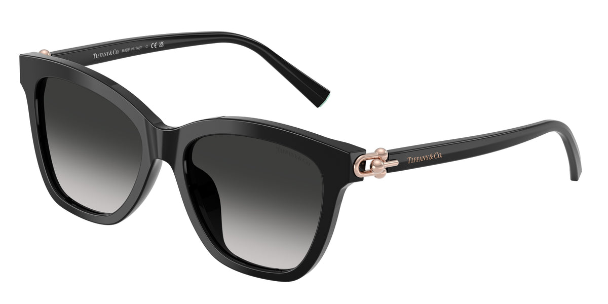 Tiffany & Co. TF4241D Black Sunglasses