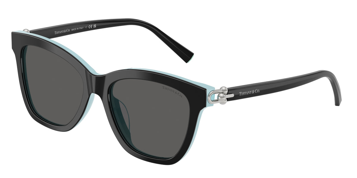 Tiffany & Co. TF4241D Black On Tiffany Blue Sunglasses