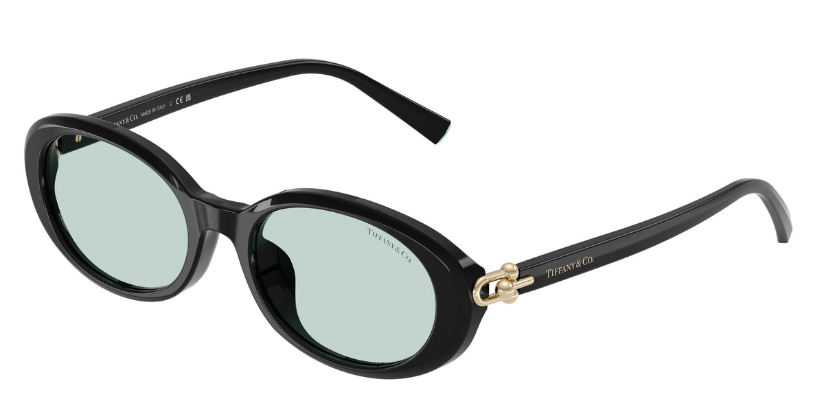 Tiffany & Co. TF4242D Black Sunglasses