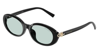 Tiffany & Co. TF4242D Sunglasses