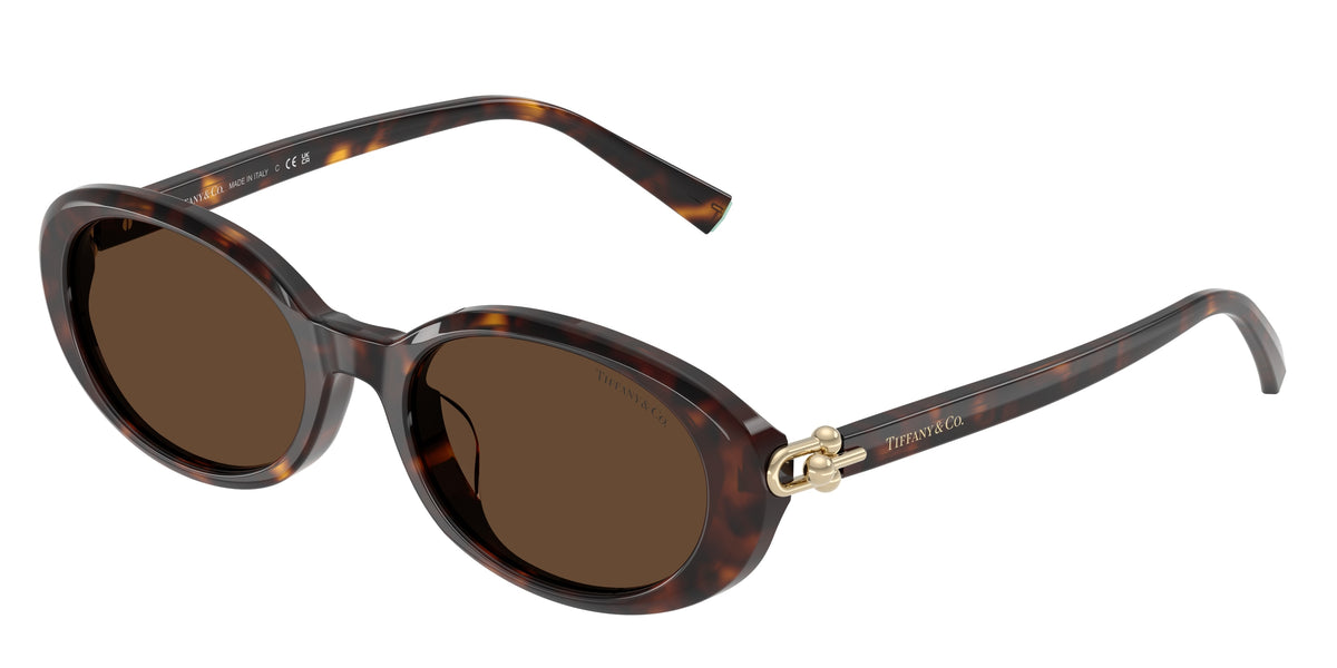 Tiffany & Co. TF4242D Havana Sunglasses