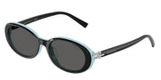 Tiffany & Co. TF4242D Black On Tiffany Blue Sunglasses