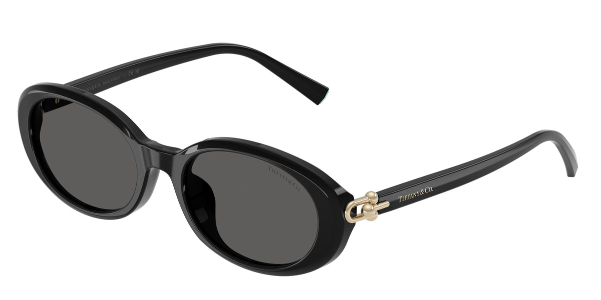 Tiffany & Co. TF4242D Black Sunglasses