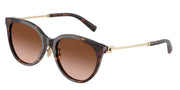 Tiffany & Co. TF4243D Havana Sunglasses