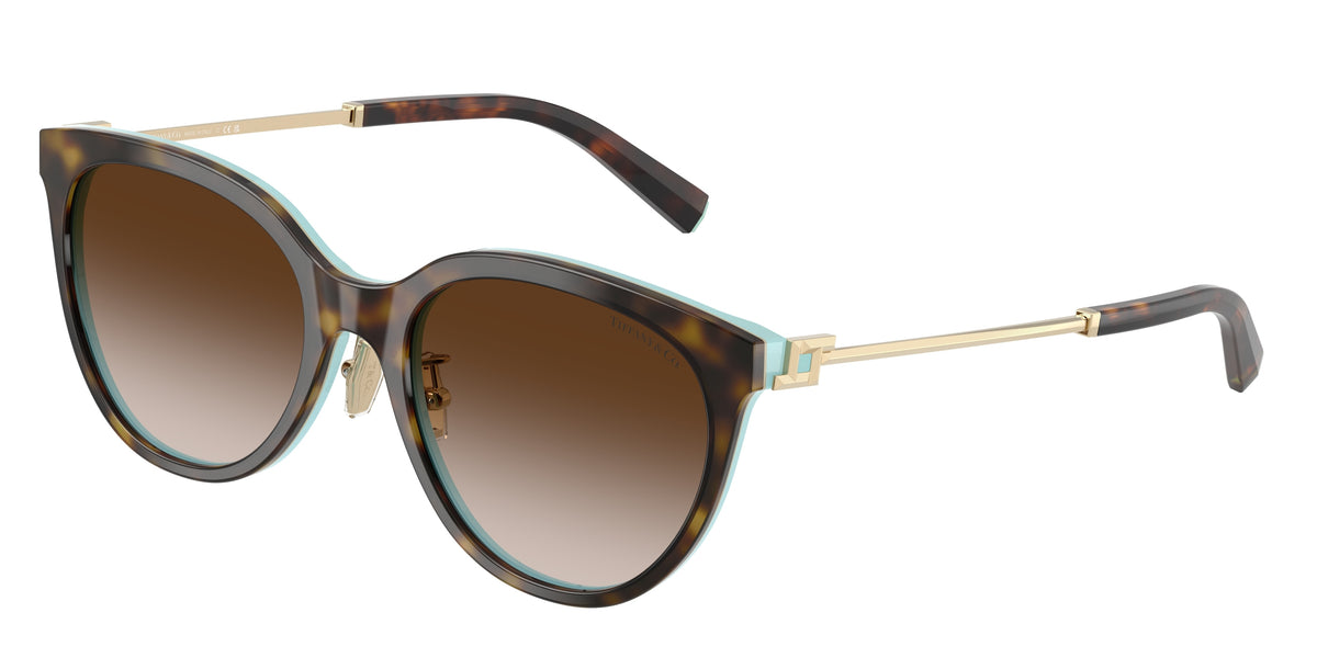 Tiffany & Co. TF4243D Havana On Tiffany Blue Sunglasses