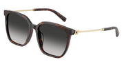 Tiffany & Co. TF4244D Havana Sunglasses