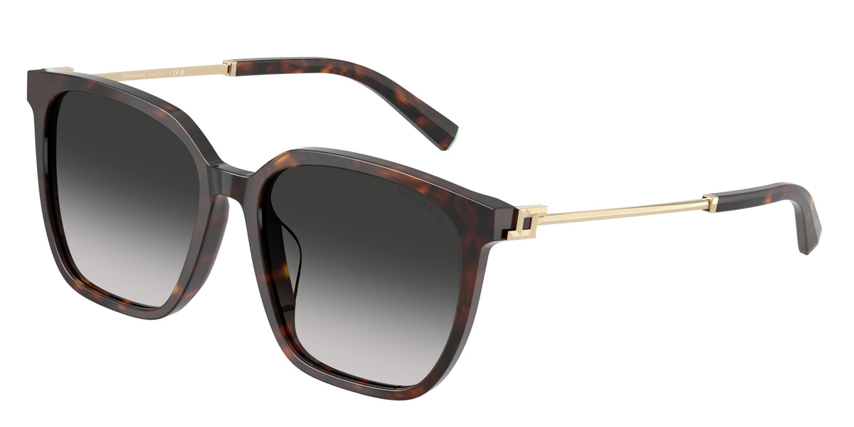 Tiffany & Co. TF4244D Havana Sunglasses
