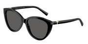 Tiffany & Co. TF4251F Black Sunglasses