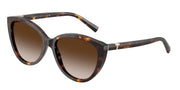 Tiffany & Co. TF4251F Havana Sunglasses