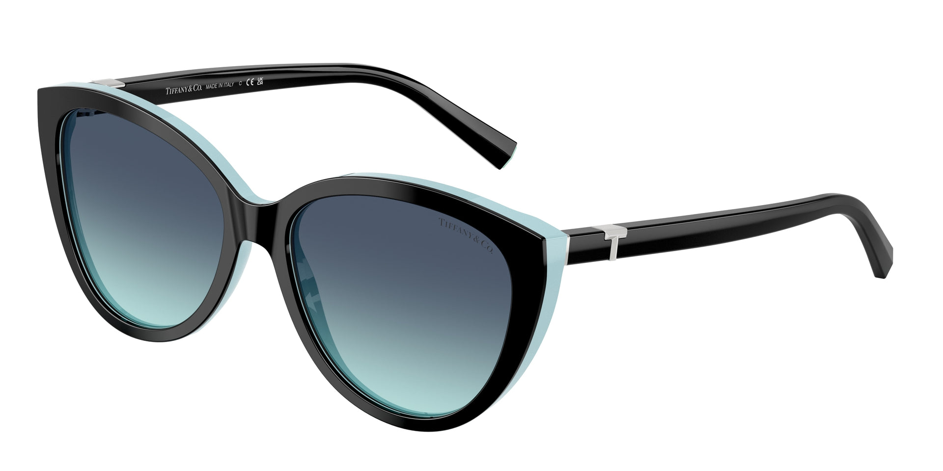 Tiffany & Co. TF4251F Black On Tiffany Blue Sunglasses